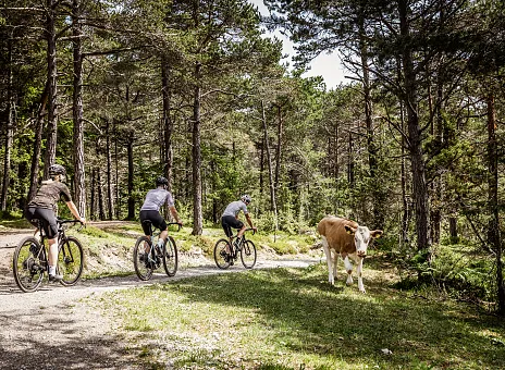 Biken und Radfahren in Imst