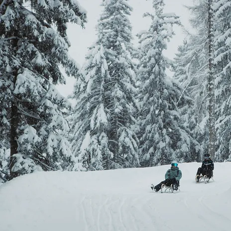 Rodeln und Winterwandern in Imst